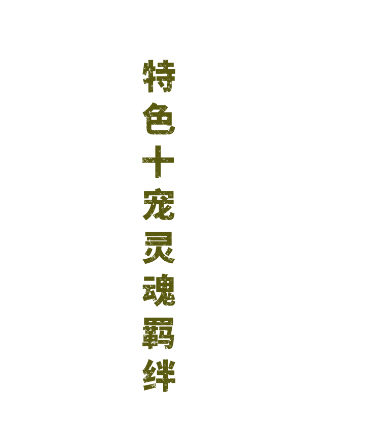 游戏特色